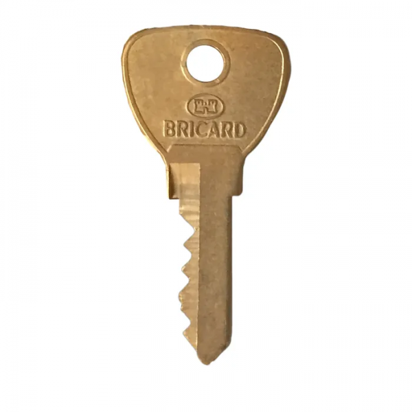 COPIA CHIAVE BRICARD ALPHA ANCIEN - Servizio di duplicazione e taglio chiavi di sicurezza online