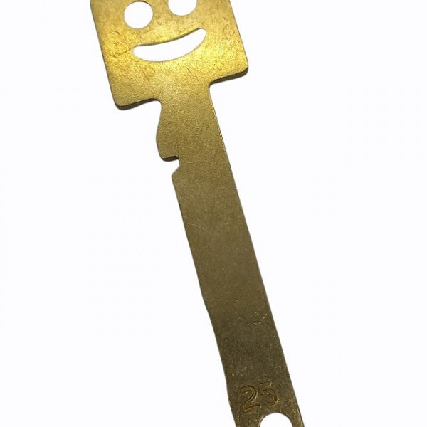 KEY MAX 25 - Ricambi e Accessori di sicurezza CopyMyKey